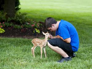 This is Jody's fawn.jpg