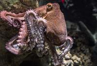 nature-3262715_1280.jpg