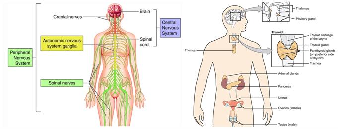 BeFunky-collage (74).jpg