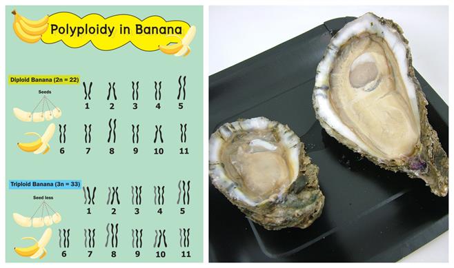 BeFunky-collage (97).jpg