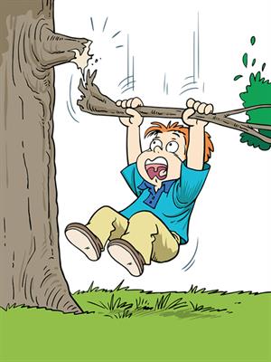 Broken Tree Branch.jpg