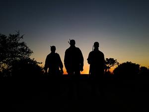 shutterstock_564248872 (1).jpg