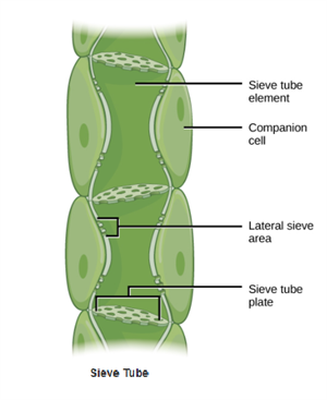 Screenshot 2021-03-15 113106.png