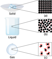 YCIND2304204w300.png