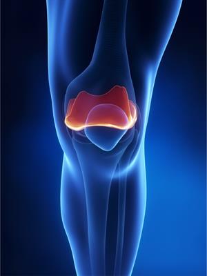 YCIND20220901_4399_Movements in animals_01.jpg