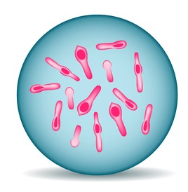 Screenshot 2022-01-22 144611.jpg