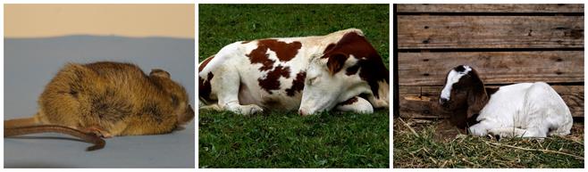 BeFunky-collage (12).jpg