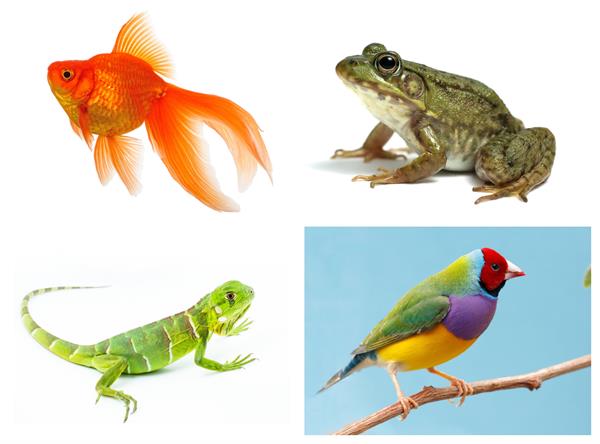 BeFunky-collage (100).jpg