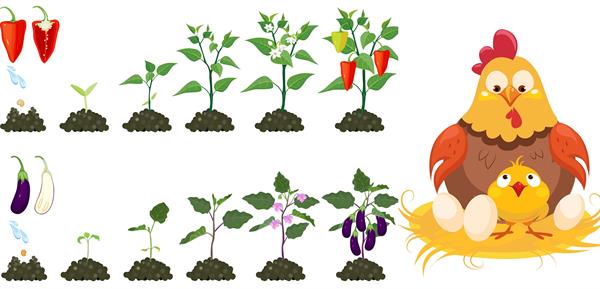 BeFunky-collage (12).jpg