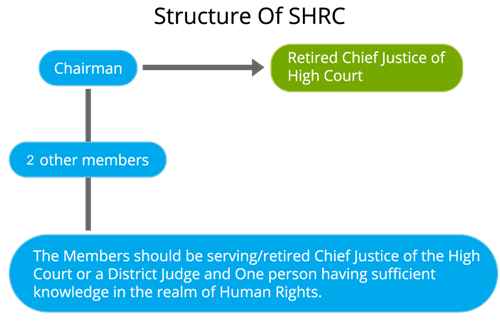 Eco_Public_ Human rights.png