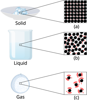 YCIND2304204.png