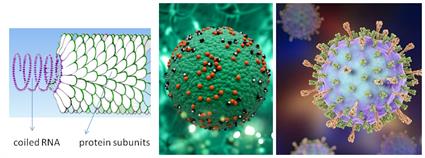 BeFunky-collage (20).jpg