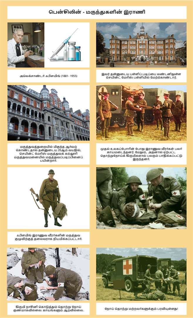 YCIND20220622_3906_Alexander Fleming - Penicilin P1.png