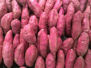 sweetpotato16667071920w300jpg.jpg
