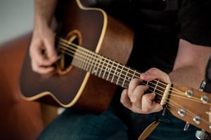 guitar-musical-instrument-string-instrument-accessory-string-instrument-acoustic-guitar-plucked-string-instruments-1538417-pxhere.com (2).jpg