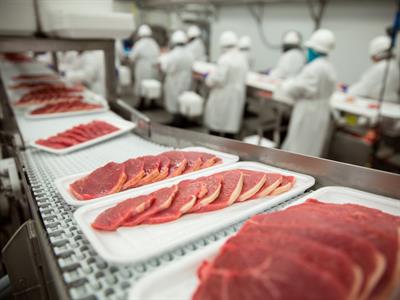 Meat Industry North America Industries - yaclass.jpg