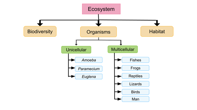 Copy of presentations - Uma.png