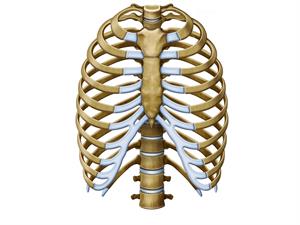 shutterstock_323122553.jpg