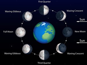 shutterstock_2382343709_moon phases (1).jpg
