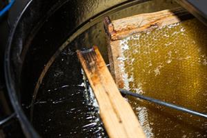 honey-extraction-523918_1280.jpg