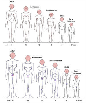 Humanstages.png