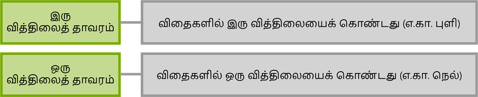 YCIND20220725_4041_Basis of classification_09.png