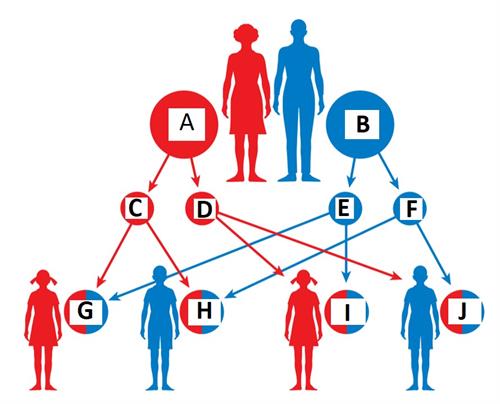 Screenshot 2021-09-17 234441.jpg