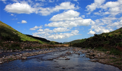 Screenshot 2021-04-05 235254.png