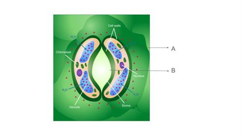 Untitled presentation (1).jpg