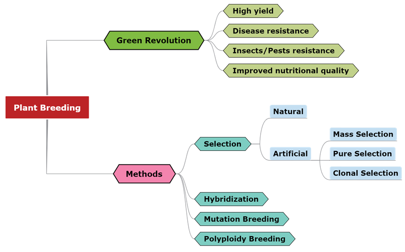 Plant Breeding.png