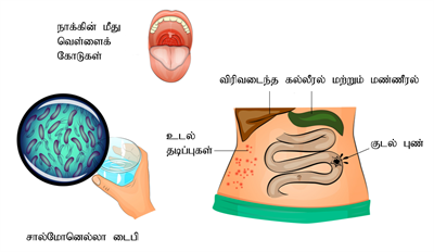 YCIND220625_3802_Health and hygiene_6.png