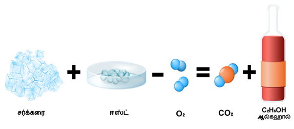 Design - YC IND (16).png