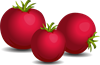 Tomato.png