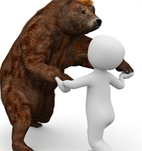 bear dancing 2020-12-28 095359.png