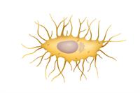 shutterstock_1243442143new.jpg