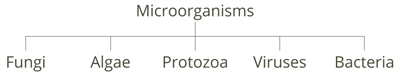 Microorganismspngw8801.png
