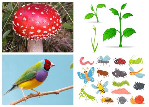 BeFunky-collage (13).jpg