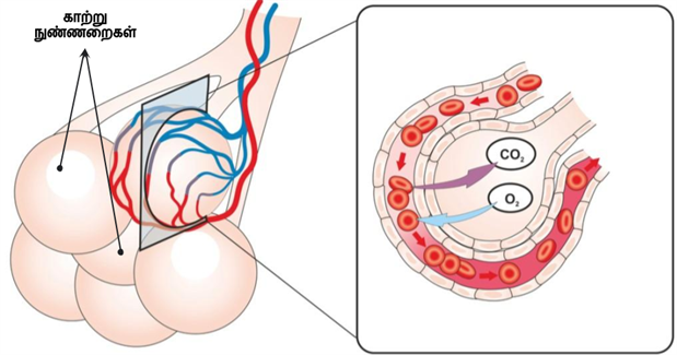 Design - YC IND (12).png