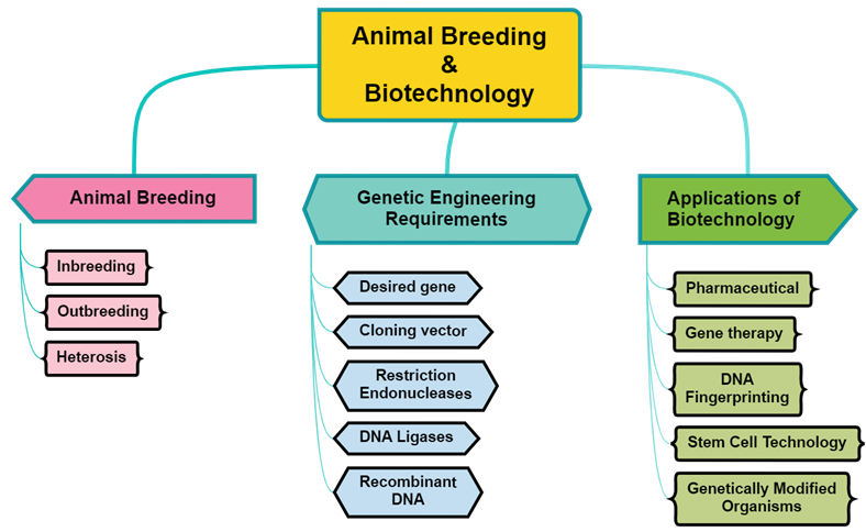 Animal Breeding & Biotechnology.png