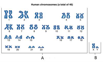 Screenshot 2021-12-28 105528.jpg