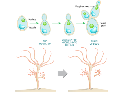 BeFunky-collage (261).png