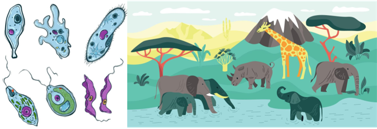 Design - YC IND (2).png