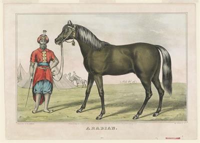 arabian.jpg