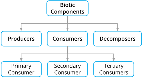 Screenshot 2021-09-14 154035.png