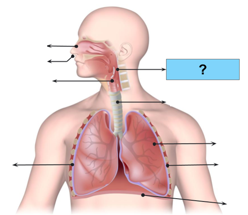 Design - YC IND (47).png