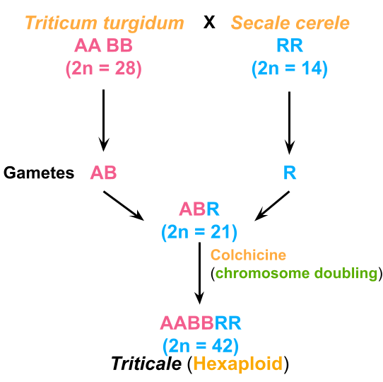 Untitled presentation (58).png