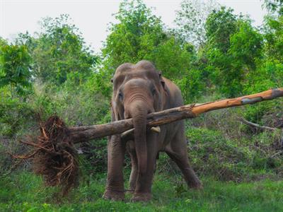 shutterstock_505154689 (1).jpg