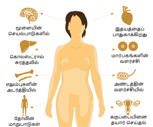 YCIND20220821_4315_Reaching the age of adolescence_06.png