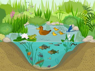 shutterstock_320472629 (1).jpg