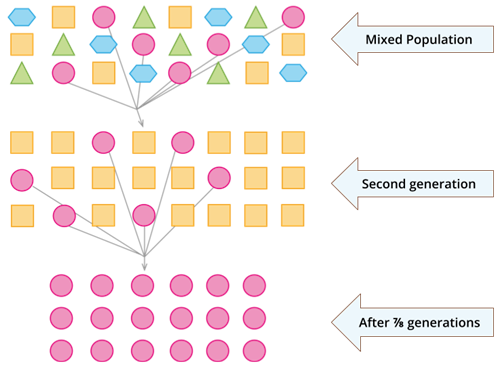 Designing - Bio Divya (22).png
